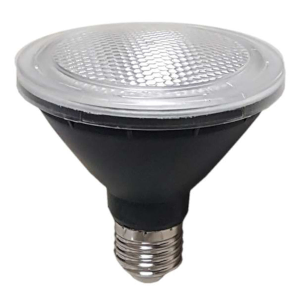 Globe Par30 Led