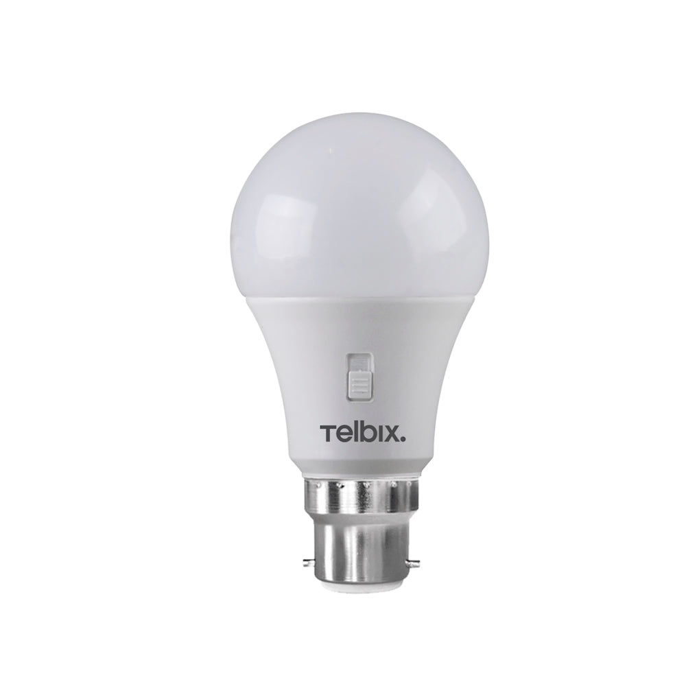 A60 B22 Led Globe
